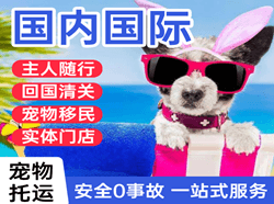 莫力达瓦旗机场货运国际宠物托运 【国